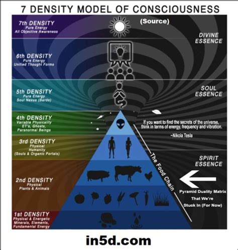 The Seven Densities of Consciousness .